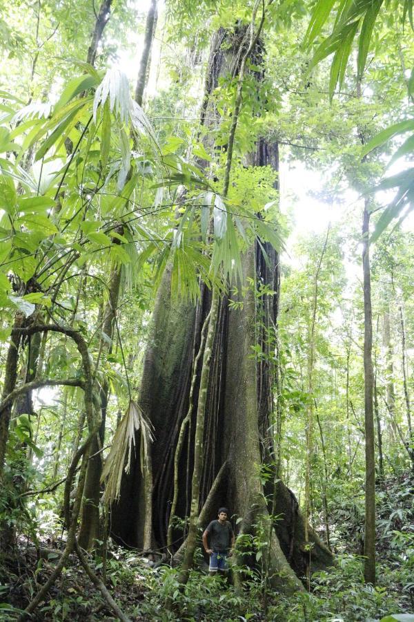Finca Sueno De Osa Puerto Jimenez Ngoại thất bức ảnh
