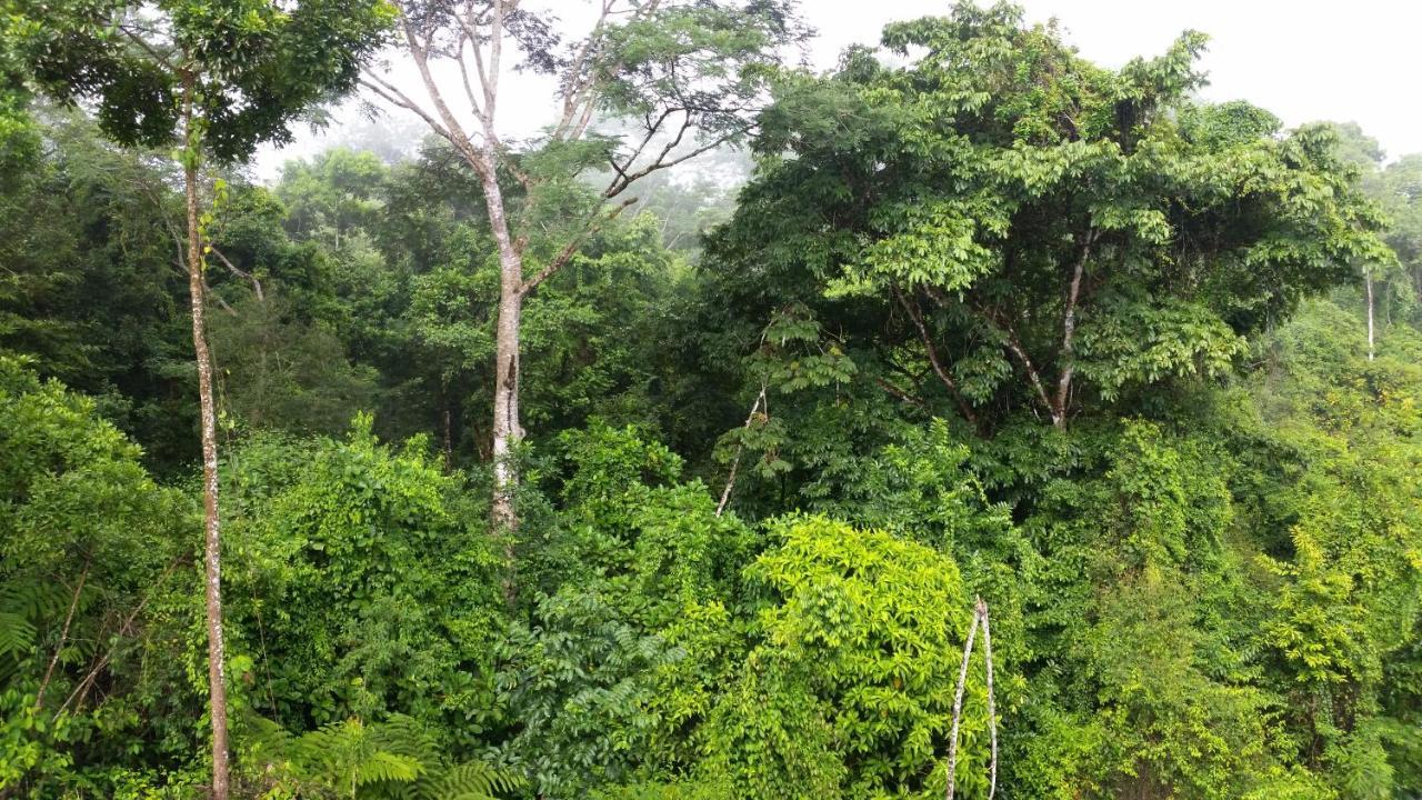 Finca Sueno De Osa Puerto Jimenez Ngoại thất bức ảnh