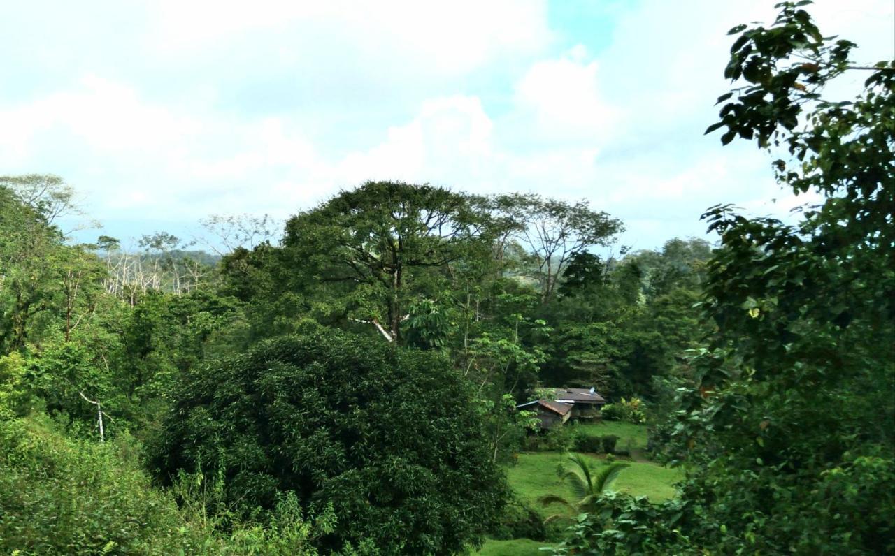 Finca Sueno De Osa Puerto Jimenez Ngoại thất bức ảnh