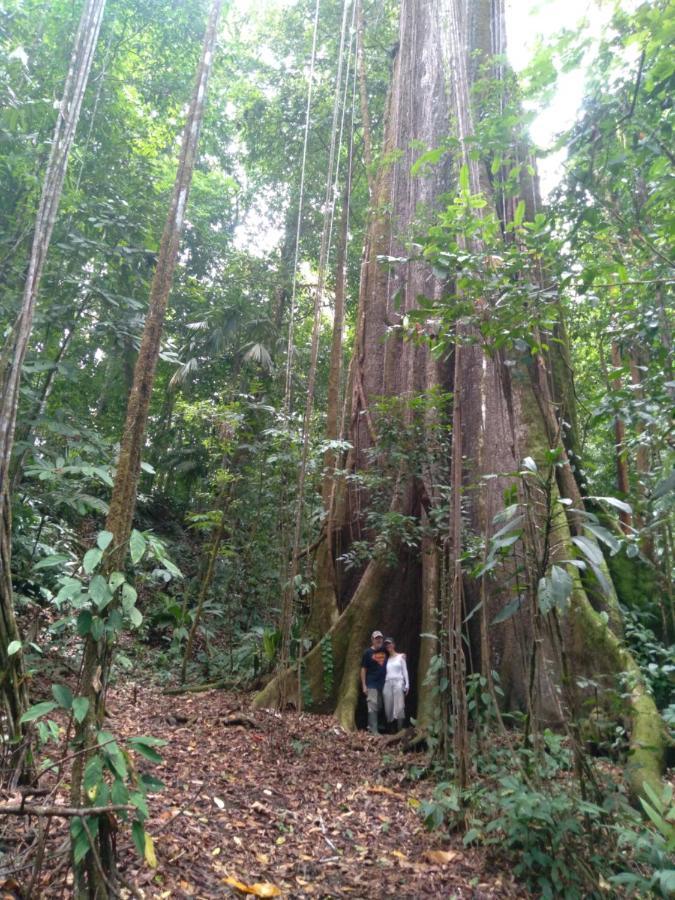Finca Sueno De Osa Puerto Jimenez Ngoại thất bức ảnh