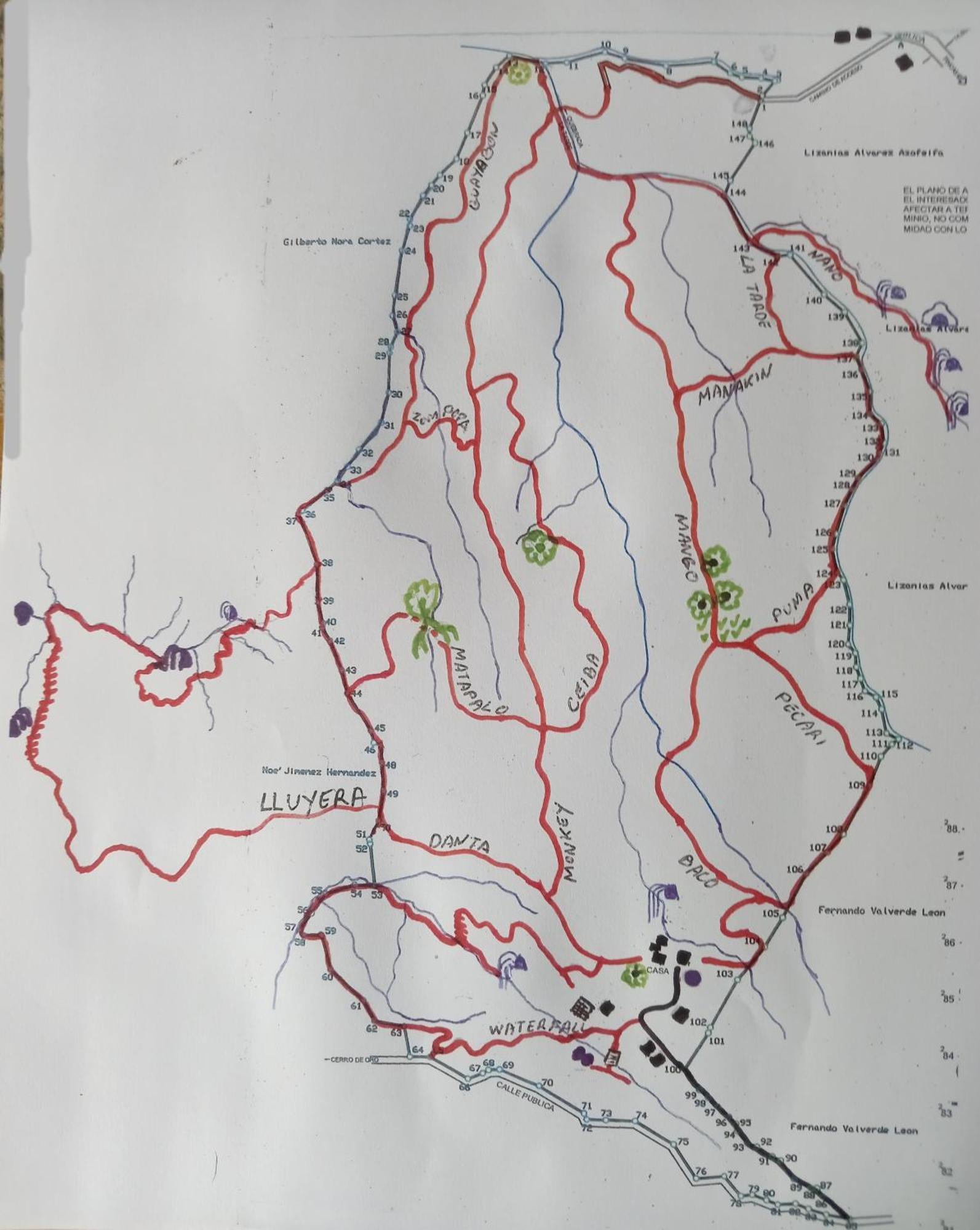 Finca Sueno De Osa Puerto Jimenez Ngoại thất bức ảnh