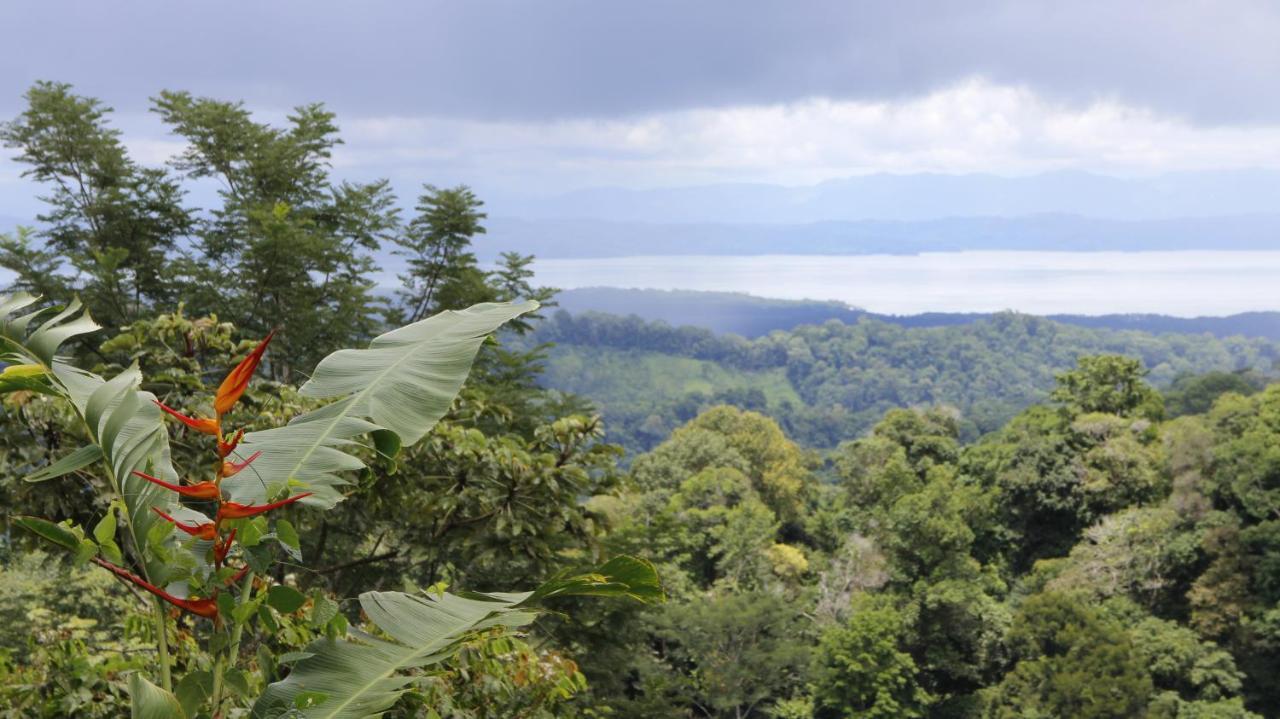 Finca Sueno De Osa Puerto Jimenez Ngoại thất bức ảnh