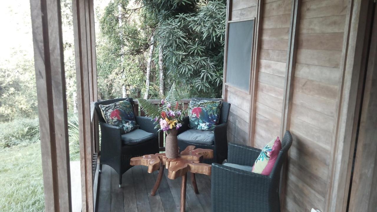 Finca Sueno De Osa Puerto Jimenez Ngoại thất bức ảnh